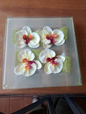 Plat décor interchangeable d'occasion  Bas-en-Basset