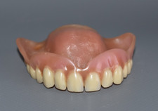 Lehrmodell zahnprothese zahner gebraucht kaufen  Sinsheim