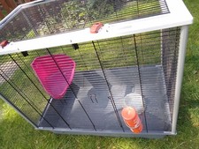 Rat degu cage for sale  CANNOCK