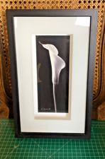 Calla lily gorgeous for sale  Englewood
