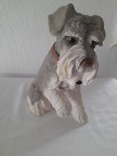 Large dog studies for sale  BURNHAM-ON-SEA