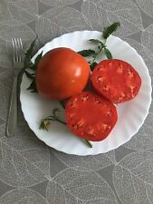 Graines tomate huevo d'occasion  Plaisance-du-Touch