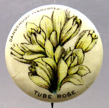 1890 tube rose for sale  Seattle