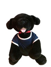 Build bear black for sale  Florence