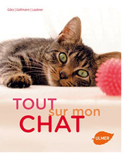 Livre chat gotz d'occasion  Lille-