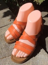 Azaleia tangerine orange for sale  Ashland