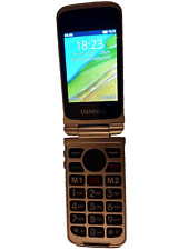 Cellulare conchiglia gsm usato  Varano Borghi