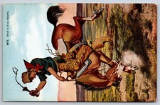 Postcard buckaroo rodeo for sale  Fortville