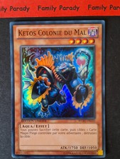 Ketos colonie mal d'occasion  Argentan
