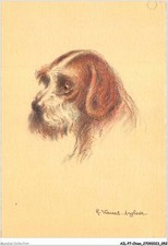 Ailp7 0639 chien d'occasion  France