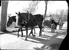 Attelage chevaux charrette d'occasion  Nancy-