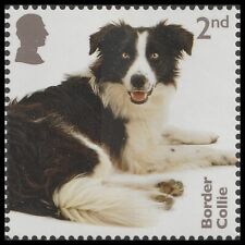 5169 dogs border d'occasion  Expédié en Belgium