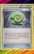 Nautile amonita fossil d'occasion  Expédié en Belgium
