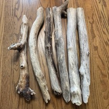 Driftwood sticks 21 for sale  Garibaldi