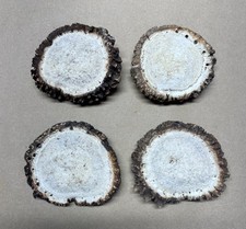 Brown elk antler for sale  Snohomish