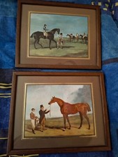 Mounted framed horse for sale  STANSTED