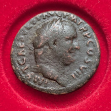 titus for sale  CARDIFF