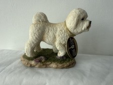 Rare best breed for sale  NEWQUAY