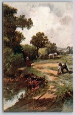 Farming simple life for sale  Newton