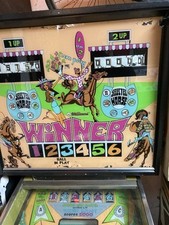 Williams winner horse for sale  WITHAM