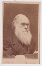 Cdv elliott fry d'occasion  Le Luc