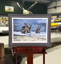 Tiger patrol westland for sale  ABINGDON