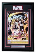 Stan lee signed for sale  Swedesboro