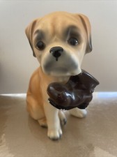 Boxer sitting dog for sale  Maricopa