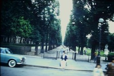 Usado, Passarela forrada em árvores no parque com pessoas borradas, década de 1960 FOTO SLIDE comprar usado  Enviando para Brazil