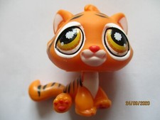 Petshop tigre 905 d'occasion  Bailleul