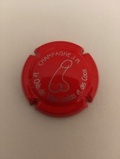 Capsule champagne rené d'occasion  Nantes-