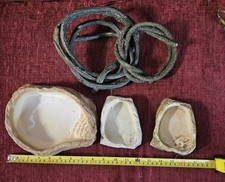 Vivarium water dishes for sale  NOTTINGHAM