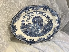 Blue white turkey for sale  EXMOUTH