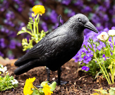 Crow decoy multi for sale  BROXBURN