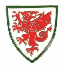 Large wales enamel for sale  SOUTHAMPTON
