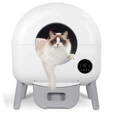 2025 litière chat d'occasion  Saint-Romain-de-Colbosc