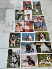 Calendriers poche chiens d'occasion  Toury
