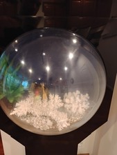 fishtank complete setup for sale fishtank complete setup for sale Aldie