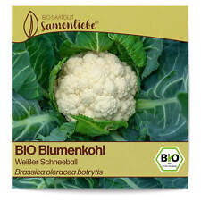 Bio blumenkohl samen gebraucht kaufen  Worms