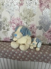 Blue nose friend for sale  GREAT YARMOUTH