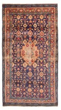Vintage oriental hand for sale  Champlain