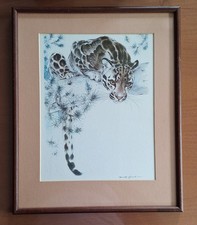 Big cat framed for sale  HITCHIN