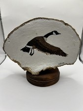 Conk tree shelf for sale  Aurora