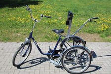 Haverich dreirad therapierad gebraucht kaufen  Rethem