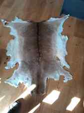 Fallow deer skin for sale  NORTHALLERTON