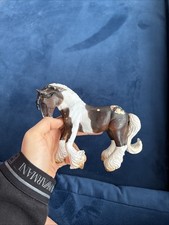 Tinker stallion piebald for sale Tinker stallion piebald for sale  LEICESTER