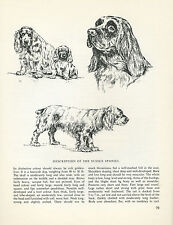 Sussex spaniel vintage for sale  COLEFORD