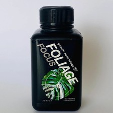 Foliage focus plant for sale  Queen Creek