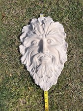 Garden bearded green for sale  KIDDERMINSTER