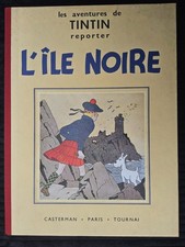 Tintin ile noire d'occasion  Verzenay